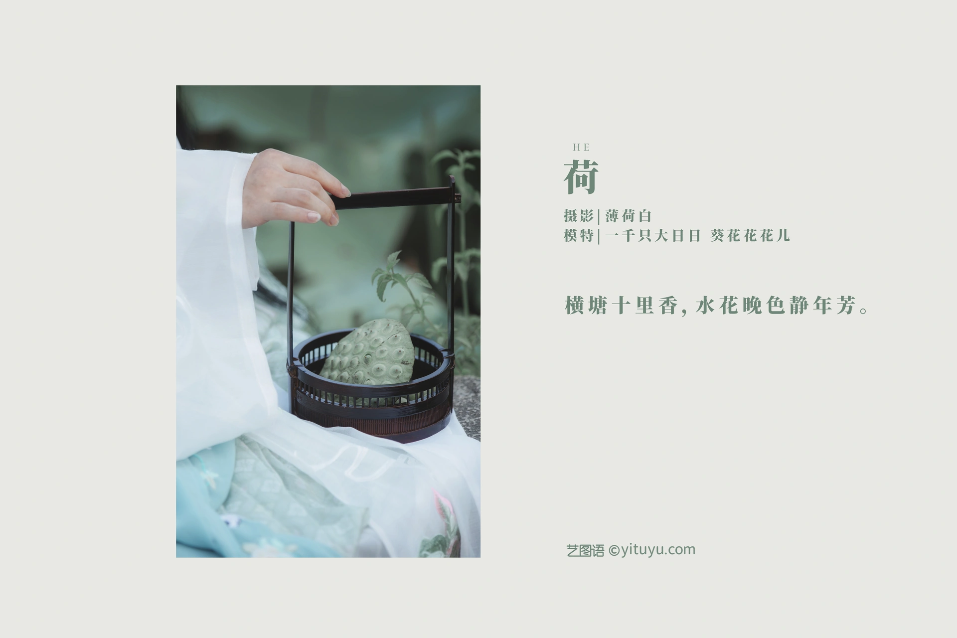 [YITUYU艺图语]2022.01.03 荷 葵花花花儿 0