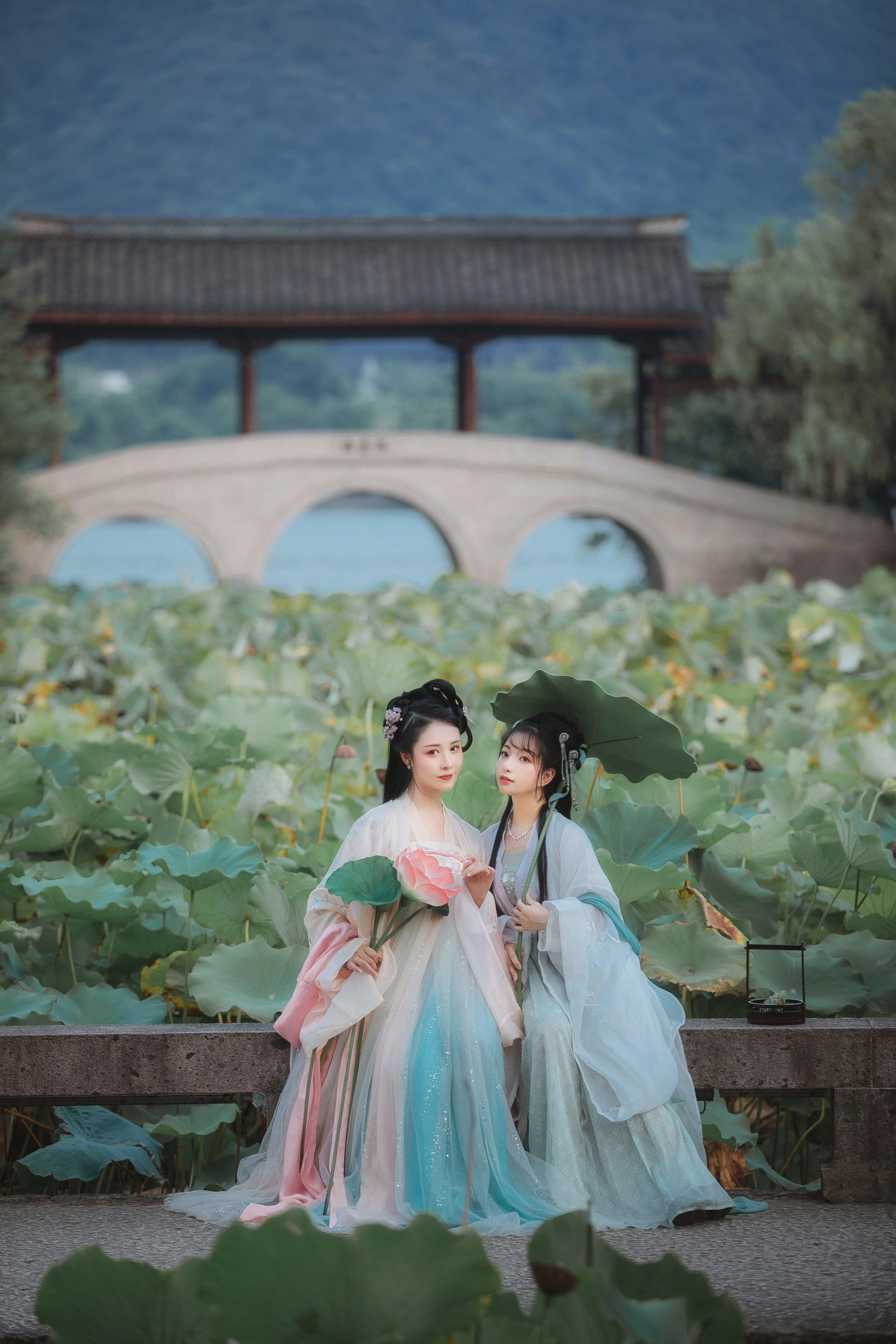 [YITUYU艺图语]2022.01.03 荷 葵花花花儿 1